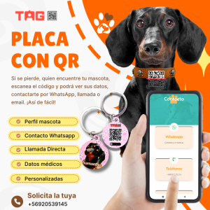Placas Mascota QR y perfil digital