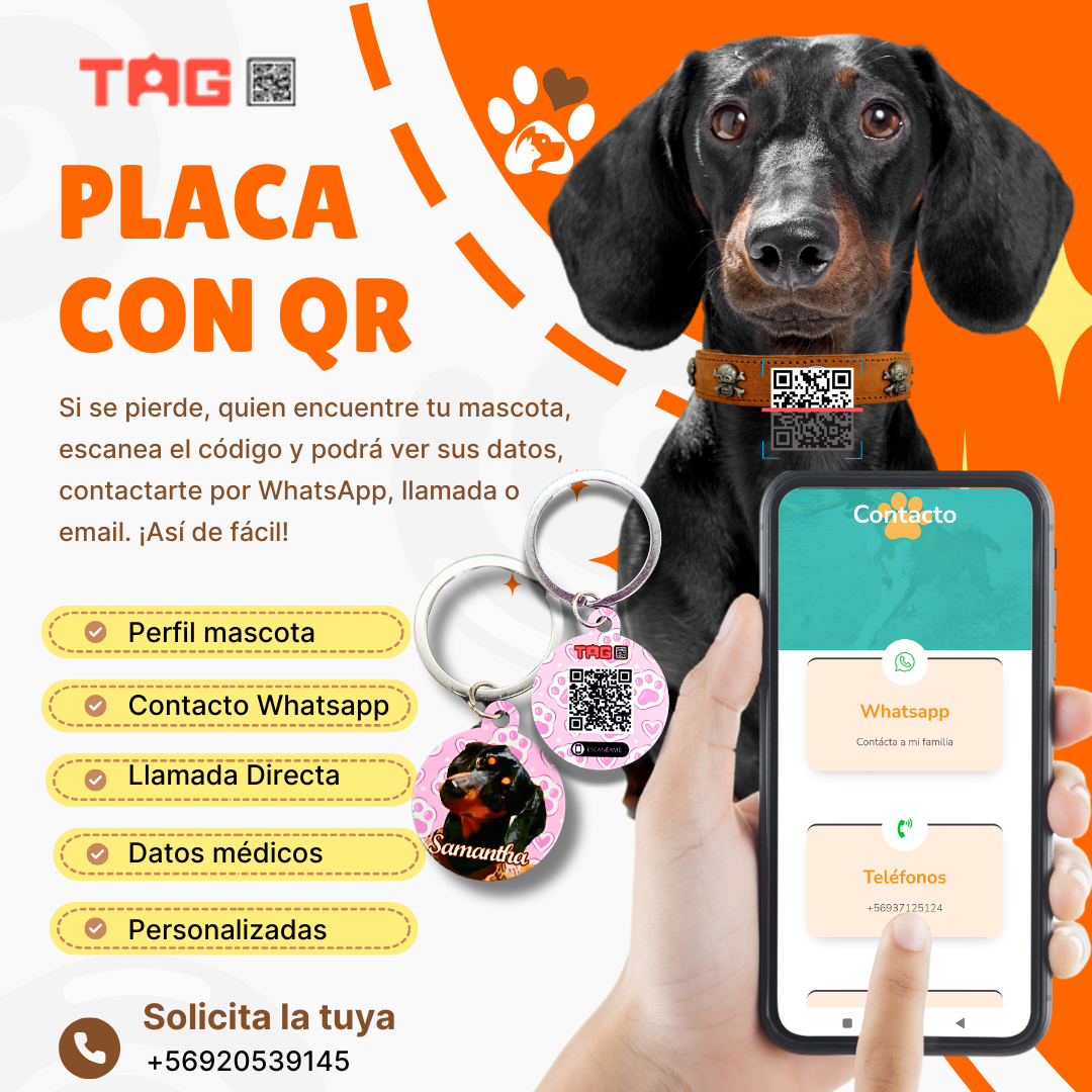 Placas Mascota QR y perfil digital